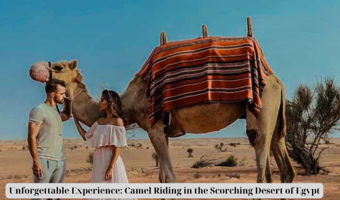 Unforgettable Experience: Camel Riding in the Scorching Desert of Egypt