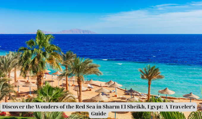 Discover the Wonders of the Red Sea in Sharm El Sheikh, Egypt: A Traveler's Guide