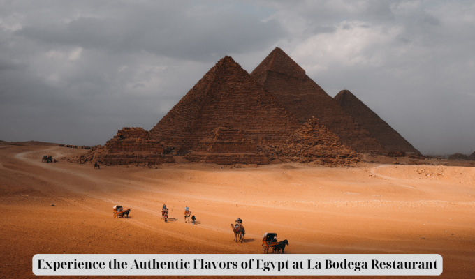 Experience the Authentic Flavors of Egypt at La Bodega Restaurant